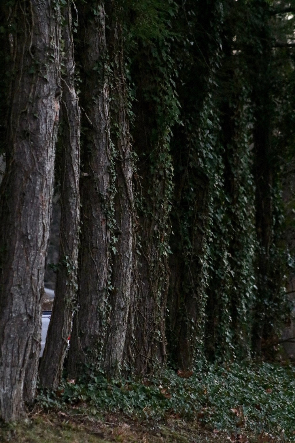 Conversations: Different